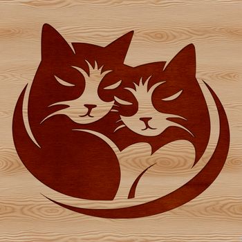 A detailed illustration of a domesticated cat's head with intricate features.
