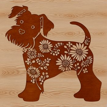 A small-sized dog breed, the Miniature Schnauzer, standing on its hind legs.