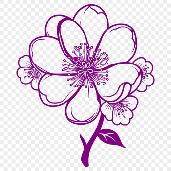 An SVG graphic representation of a single cherry blossom in bloom, suitable for digital designs and crafting projects.