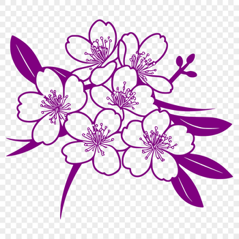 A detailed graphic representation of a single cherry blossom in shades of pink and white.