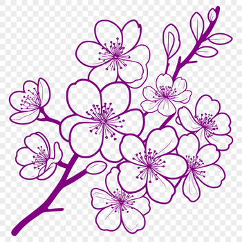 A digital illustration of a single cherry blossom in full bloom.