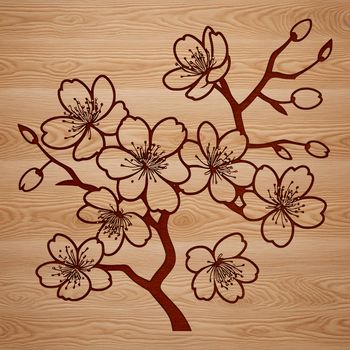 A stylized illustration of a blooming cherry blossom flower in vibrant pink hue.