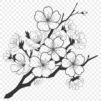 A delicate pink cherry blossom with five petals, surrounded by green leaves.