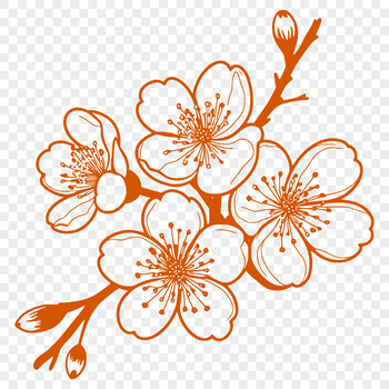 Close-up vector design of a single sakura flower with delicate petals.