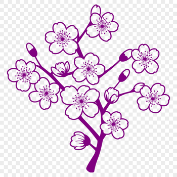 A stylized illustration of a cherry blossom flower in various stages of growth.