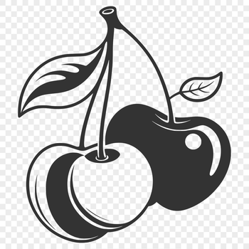 A single cherry fruit with a glossy surface, suitable for food design.
