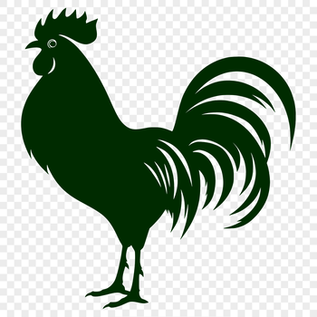 A detailed illustration of a rooster in full body pose.