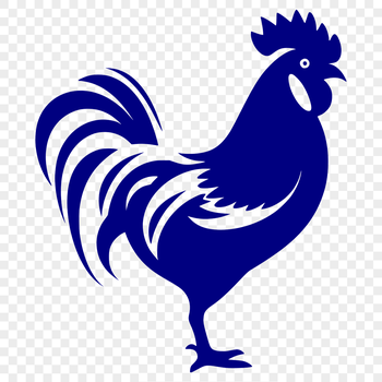 A detailed illustration of a chicken's full body, suitable for vector art and design projects.