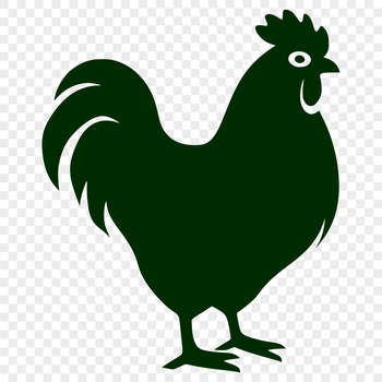 A detailed illustration of a chicken in full body view, suitable for vector design and cutting machine projects.