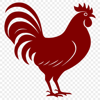 A full-body illustration of a farm animal, suitable for vector design.