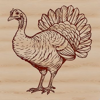 A realistic illustration of a farm animal, commonly associated with Christmas, depicted in vector format.