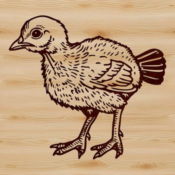 A vector design of a domesticated bird often served as a main course during the holiday season in Western cultures.