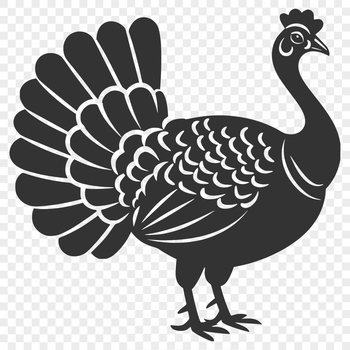A realistic illustration of a farm-raised turkey in full body view.