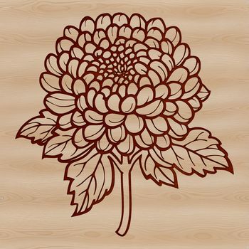 A single white chrysanthemum flower with yellow center on a green stem.