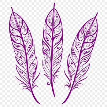Vector illustration of a single bird's feather with delicate details.