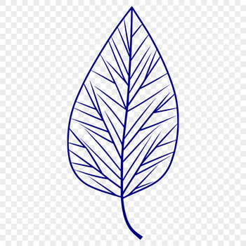 A detailed, scalable illustration of a leaf in vector format.