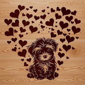 A cute illustration of a sitting Havanese dog with love hearts surrounding it.