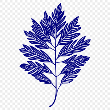 A single, detailed leaf design created as a vector art file.