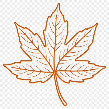 A detailed vector illustration of a single leaf with realistic texture and veins.