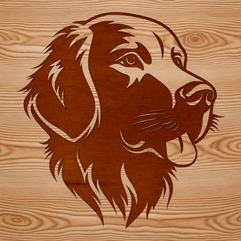 A detailed vector illustration of a Golden Retriever's head, suitable for digital designs and craft projects.