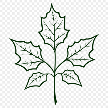 A detailed illustration of a single leaf with intricate veins.