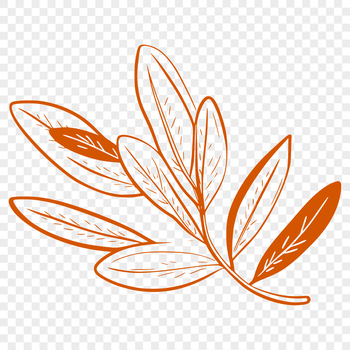 An isolated design element of a stylized leaf for digital use.