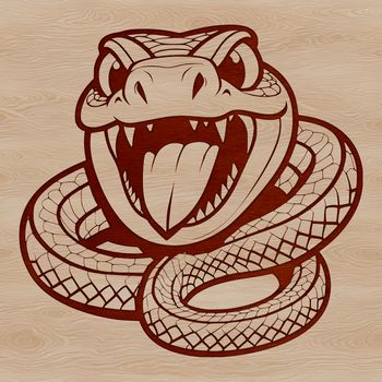 Close-up illustration of a serpent's head with intricate patterns.