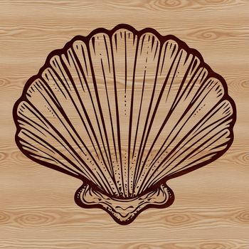 An SVG rendering of a decorative seashell, ideal for crafting and DIY applications.