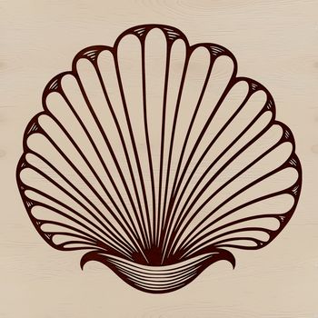 A stylized digital illustration of a seashell, suitable for use in various graphic design projects.