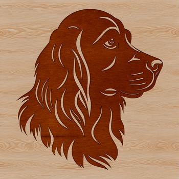 A illustration of a Cocker Spaniel's head with details suitable for vector design.