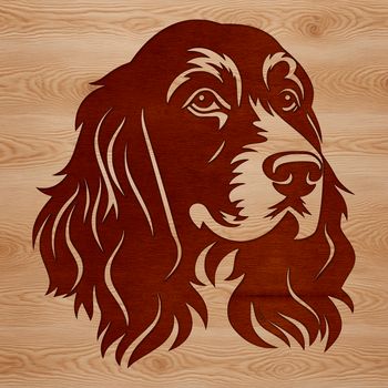 A digital illustration of a friendly Cocker Spaniel's head.
