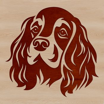 A portrait of a happy Cocker Spaniel with its head slightly tilted.