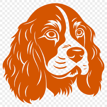 A portrait of a friendly Cocker Spaniel breed dog with a distinct head shape.