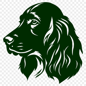 Free Cocker Spaniel Illustration