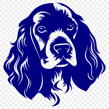 A close-up illustration of a Cocker Spaniel's head, suitable for vector art designs.