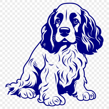 A sitting Cocker Spaniel dog breed depicted in vector art form.