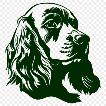 A detailed illustration of a cocker spaniel's head with floppy ears.