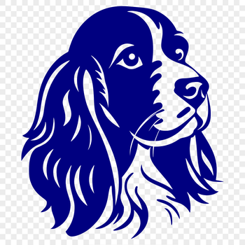 A portrait of a Cocker Spaniel's head with a gentle expression.