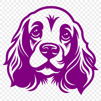 Close-up illustration of a Cocker Spaniel's head, suitable for vector art design.