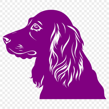 Illustration of a Cocker Spaniel dog's head with a clean vector design.