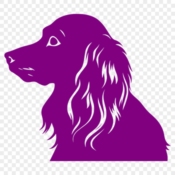 A stylized illustration of a Cocker Spaniel's head, created as a vector graphic suitable for various applications.