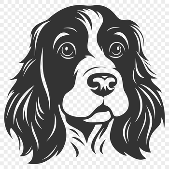 A close-up illustration of a Cocker Spaniel's head, suitable for vector design and commercial or personal use.