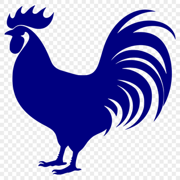 A high-resolution illustration of a full-body chicken with detailed feathers and beak.