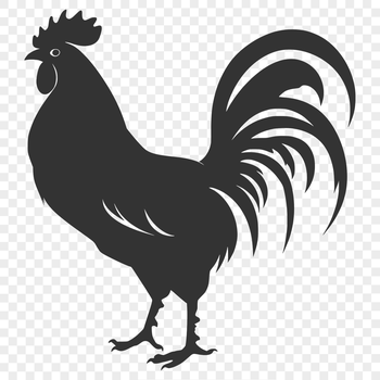 A colorful illustration of a full-body rooster, depicted in a farm setting.