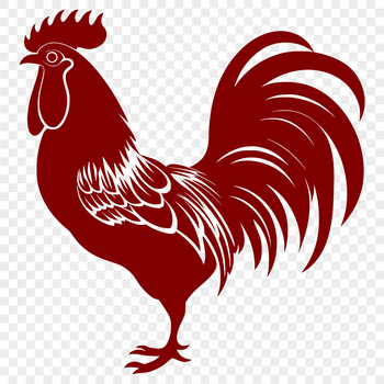 A chicken standing on a farm yard, with its feathers fluffed up and beak open.