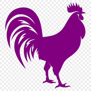 Full-body illustration of a rooster farm animal, suitable for vector art designs.