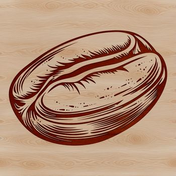 A single coffee bean illustrated as a vector graphic in a clean design.
