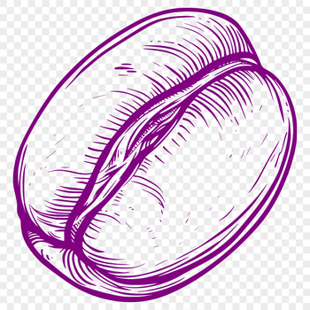 A high-resolution digital representation of a single coffee bean, suitable for various design applications.