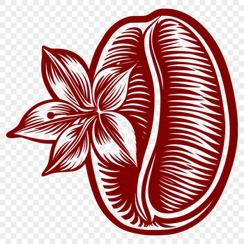 A simple illustration of a coffee bean with floral patterns surrounding it.