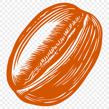 A single coffee bean icon in vector format, suitable for graphic design projects.